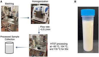 Effect of pilot-scale high-temperature short-time processing on the retention of key micronutrients in a fortified almond-based beverage: implications for fortification of plant-based milk alternatives